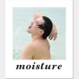 moisture Posters and Art